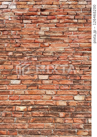 Texture of the brick walls      126468200