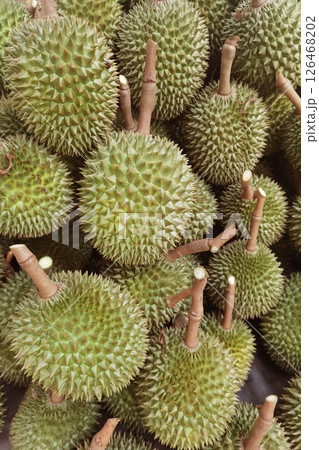 Top view of durian fruit Top view of durian fruit 126468202