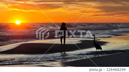Sunset Serenity Woman and Heron Enjoying a Peaceful Evening Walk on the Beach at Dusk. 126468294