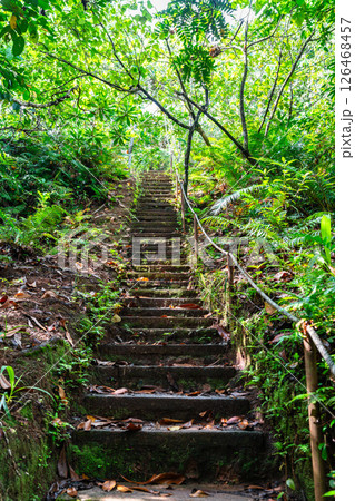 Stone stairway ascending through dense tropical vegetation on the trail to the Badrulchau Stone Monoliths in northern Babeldaob, Palau Stone stairway ascending through dense tropical vegetation on the trail to the Badrulchau Stone Monoliths in northern Babeldaob, Palau 126468457