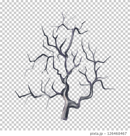 Scary tree with cobweb. creepy forest,Dried branches of a plant, Halloween decor. Gothic dead plant. Watercolor illustration isolated from background. Hand drawn. High quality illustration Scary tree with cobweb. creepy forest,Dried branches of a plant, Halloween decor. Gothic dead plant. Watercolor illustration isolated from background. Hand drawn. High quality illustration 126468467