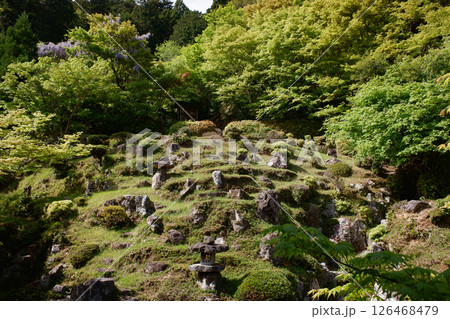 京都府　常照皇寺　方丈庭園 126468479