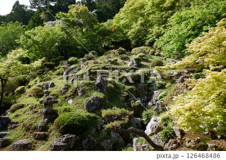 京都府　常照皇寺　方丈庭園 126468486