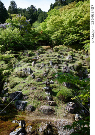 京都府　常照皇寺　方丈庭園 126468487