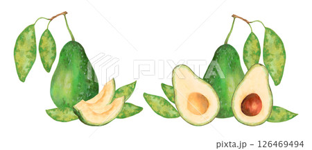 Fruit composition with whole, half and slice of avocado with leaves. Watercolor and marker illustration. Hand drawn isolated clipart. Botanical vegetable sketch for food packaging, juice or menu 126469494