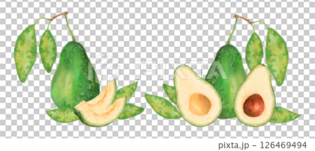 Fruit composition with whole, half and slice of avocado with leaves. Watercolor and marker illustration. Hand drawn isolated clipart. Botanical vegetable sketch for food packaging, juice or menu 126469494