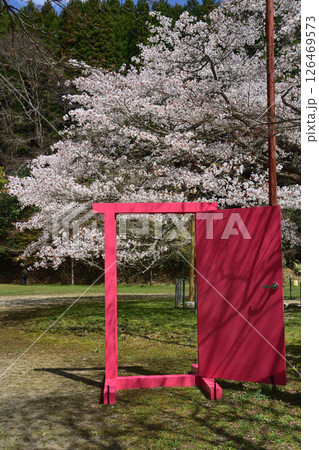 久保山の一本桜 久保山の一本桜 126469573
