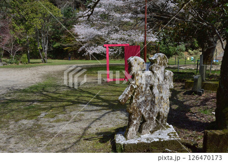 久保山の一本桜 久保山の一本桜 126470173