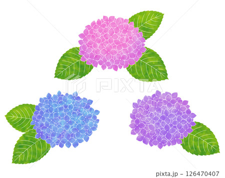 水彩風の紫陽花 水彩風の紫陽花 126470407