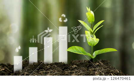 Green plant on soil with an icon of a rocket flying through the upward graph of renewable energy. Concept of renewable energy, environment, and ecology 126470461