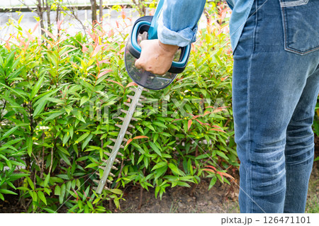 Woman taking care and growing plants, Hobby planting home garden, ornamental pruning. 126471101