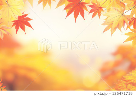 日本の秋 きれいに色づいたモミジ 日本の秋 きれいに色づいたモミジ 126471719