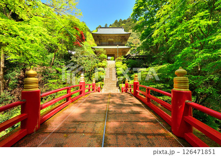 春の雲巌寺（栃木県大田原市） 126471851