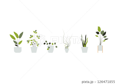 plant in a pot nature garden decoration houseplant green tropical leaf flower. vector collection vegetation foliage leaves botanical design potted interior home. isolated natural botany decor. 126471855