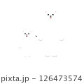 しろくまの親子 126473574