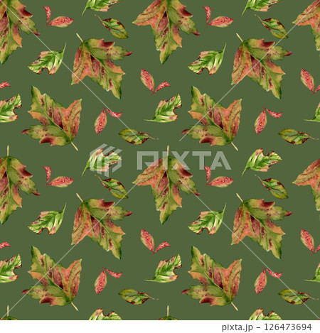 Autumn colorful leaves watercolor seamless pattern isolated on white. Red pink fall leaves of maple, hawthorn, viburnum tree hand drawn in botanical sketch. Foliage repeat background painted design. 126473694