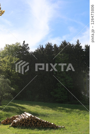 A pile of wood is stacked in a grassy field 126473806