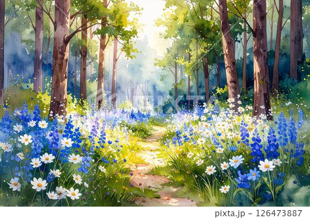 深い森の中の小道 126473887