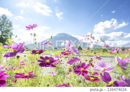 八幡ビューポイントパーキングからの羊蹄山 俱知安町 八幡ビューポイントパーキングからの羊蹄山 俱知安町 126474026