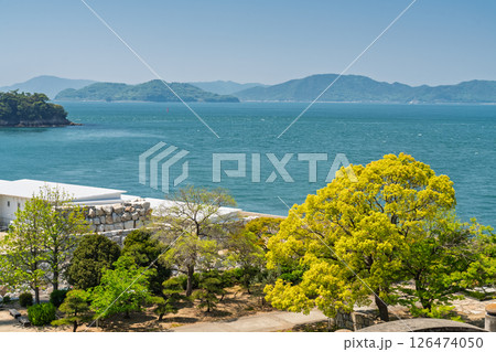 《香川県》瀬戸内海と新緑の風景 126474050