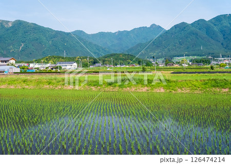 田植えを終えた鈴鹿山麓の田園地帯（三重県四日市市） 126474214
