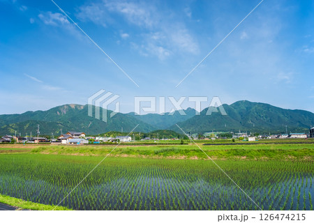 田植えを終えた鈴鹿山麓の田園地帯（三重県四日市市） 126474215