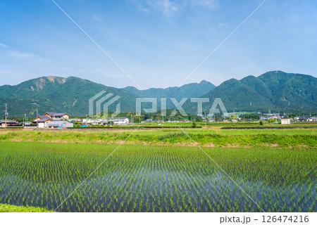 田植えを終えた鈴鹿山麓の田園地帯（三重県四日市市） 126474216