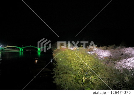 ライトアップされた錦帯橋と夜桜が美しい岩国の夜景 126474370