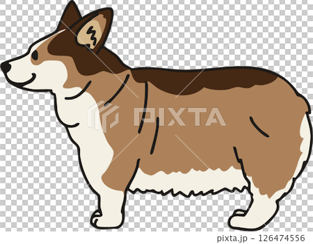 一隻可愛的黑貂色柯基犬的側面插圖 126474556