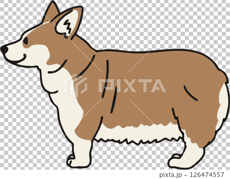 Illustration of a cute red-colored corgi seen from the side Illustration of a cute red-colored corgi seen from the side 126474557