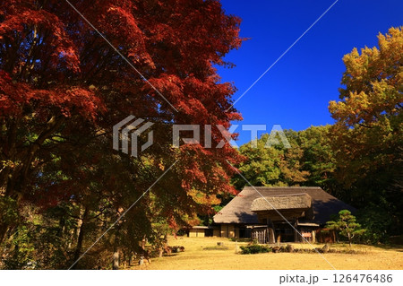 岩手県北上市 紅葉のみちのく民俗村 岩手県北上市 紅葉のみちのく民俗村 126476486