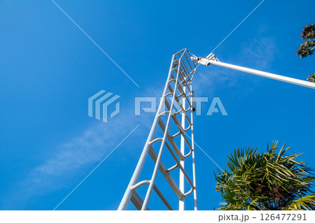 庭師のアルミ三脚 庭師のアルミ三脚 126477291