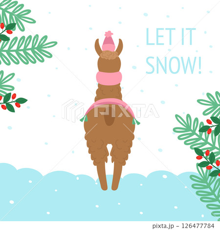 Christmas card with a cute llama or alpaca in winter, in a warm scarf, rear view. With the inscription let it snow. Decorated with spruce branches with berries. Vector cozy illustration. 126477784
