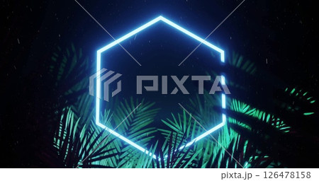 Image of neon shape and leaves on black background 126478158