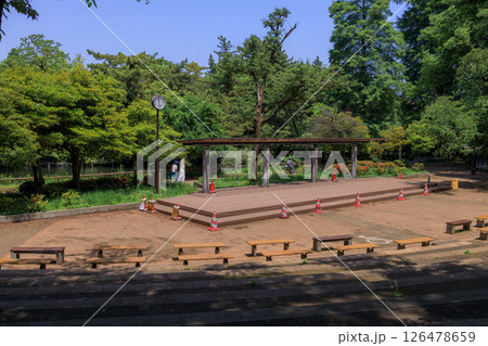 新緑が美しい東京都練馬区の石神井公園の風景 新緑が美しい東京都練馬区の石神井公園の風景 126478659
