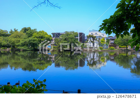 新緑が美しい東京都練馬区の石神井公園の風景 126478671