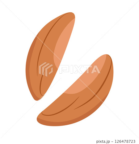 Brazil nut kernel beige natural color. Vector illustration isolated on a white background for website design of products, applications, printing 126478723
