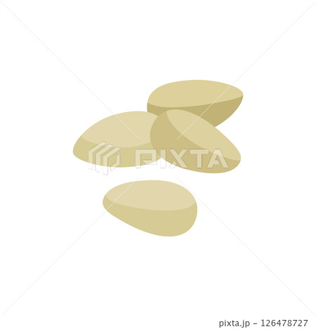 Cedar nut, the kernel is milky natural color. Vector illustration isolated on a white background for website design of products, applications, printing Cedar nut, the kernel is milky natural color. Vector illustration isolated on a white background for website design of products, applications, printing 126478727