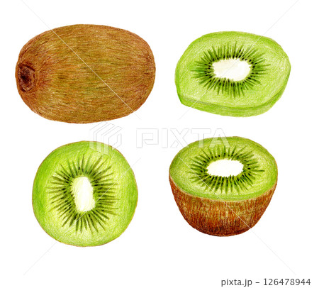グリーンキウイの手描き色鉛筆画 126478944