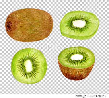 グリーンキウイの手描き色鉛筆画 126478944