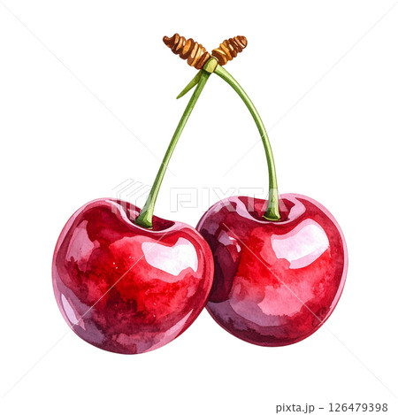 Red ripe juicy cherries on a white background, sweet and fresh healthy fruit dessert with green stems 126479398