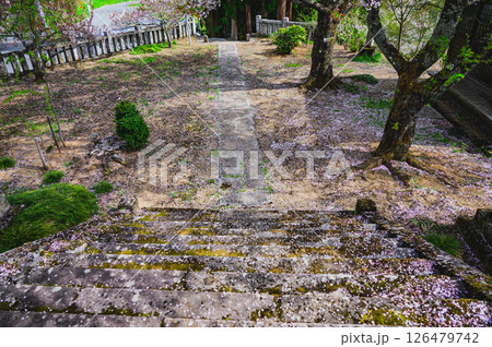 【長勝寺】花びらの散った境内【長野市信更町】 126479742