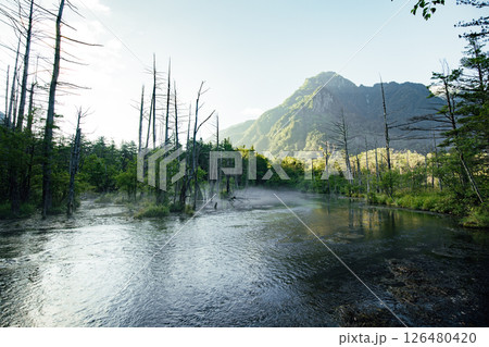 <長野>上高地の絶景 岳沢湿原と六百山 <長野>上高地の絶景 岳沢湿原と六百山 126480420
