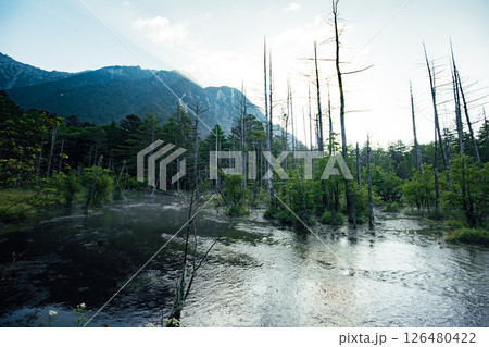 <長野>上高地の絶景 岳沢湿原と六百山 <長野>上高地の絶景 岳沢湿原と六百山 126480422