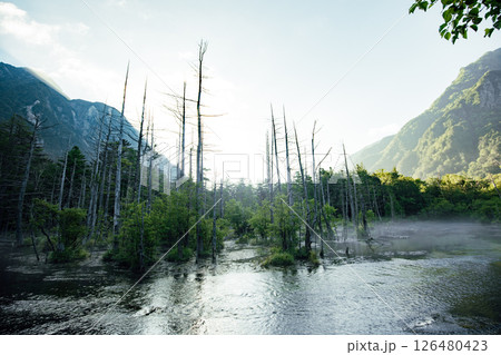 <長野>上高地の絶景 岳沢湿原と六百山 <長野>上高地の絶景 岳沢湿原と六百山 126480423