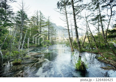 <長野>上高地の絶景 岳沢湿原と六百山 <長野>上高地の絶景 岳沢湿原と六百山 126480425