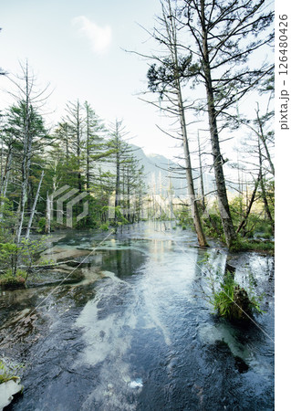 <長野>上高地の絶景 岳沢湿原と六百山 <長野>上高地の絶景 岳沢湿原と六百山 126480426