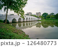 Bridge at the Chinese Garden 126480773