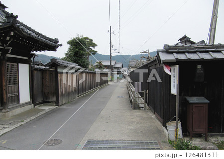 滋賀県:五箇荘/近江商人屋敷の町並み/東近江市五個荘 滋賀県:五箇荘/近江商人屋敷の町並み/東近江市五個荘 126481311