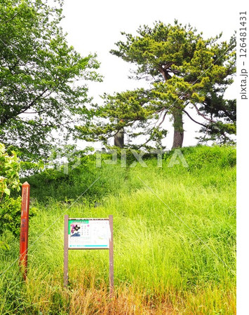 古戦場 軍配山 古戦場 軍配山 126481431